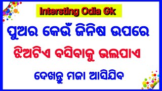 ଓଡ଼ିଆ ଢଗ ଢମାଳି। odia gk। odia gk online। odia dhaga dhamali। most brilliant question। odia gk hub