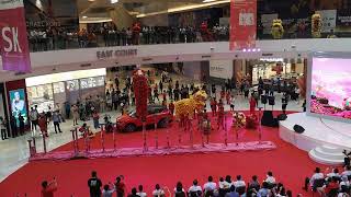 IOI City Mall New Wing Opening - 101 Lions and Acrobatic Lion Dance