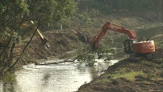 洪水の原因になった指摘も…台風接近を前に小田川の中州の樹木を伐採　倉敷市