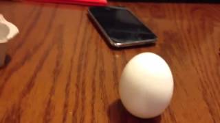 Balance egg vernal equinox 2012