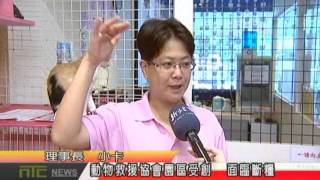 NTCnews 20161014 05台動物救援協會園區受創  面臨斷糧