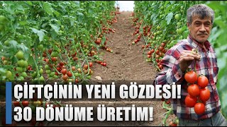 Narenciyeyi Bırakan Sera Kuruyor! 400 Metrede Başladı 30 Dönüme Ulaştı / AGRO TV HABER