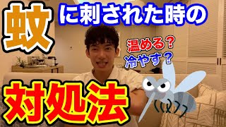 【DaiGo・蚊】温める？冷やす？蚊に刺された時の対処法がこちら　◆メンタリストDaiGo切り抜きch