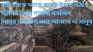 রহস্যে ঘেরা গায়েবী মসজিদ || প্রাচীন ঐতিহ্যবাহী সুলতানি আমলের মসজিদ || বারোবাজারের মোহাম্মাদাবাদ শহর