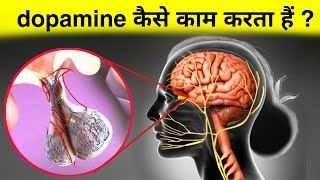 dopamine कैसे काम करता है - dopamine hormone working