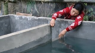 Make a roof to cover the filter tank, release water to fill the pond to prepare for fish seedlings