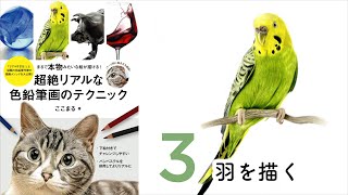 インコ【羽を描く】～超絶リアルな色鉛筆画のテクニック～ ここまる / 色鉛筆画