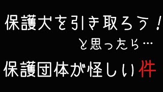 意外と難しい悪い愛護団体の見分け方