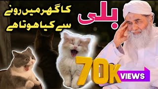 Billi ke Ghr me rone se kya hota | Molana Ilyas Qadri | Madani muzakra 23#madanichannel #viral #cat