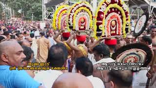 TRIKKANNAD ARATU EZHUNNALATH തൃക്കണ്ണാട് ശ്രീ ത്രംയബകേശ്വര ക്ഷേത്രത്തിലെ ആറാട്ട് എഴുന്നെളളത്ത്