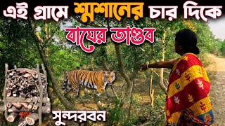 সুন্দরবনের এই গ্রামে,গভীর জঙ্গল লাগোয়া শ্মশানের চার দিকে বাঘের তাণ্ডব / Tiger Attack / Sundarban