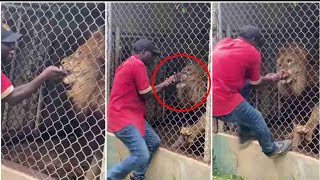 Top 10 Scary Wild Animals Encounters on Humans No One Saw Coming