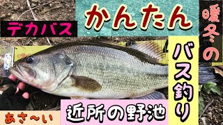 【冬のバス釣り】1月5日に近所の野池で釣りしたら簡単につれてもた。暖冬の２０２０初ソロ釣行。