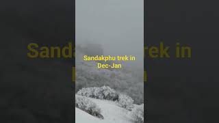 Sandakphu || sandakphu trek in december || sandakphu trek #shorts #ytshorts