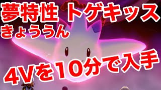 【ポケモンソード】夢特性きょううんの\