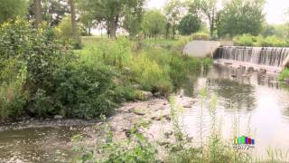 Beckman Mill Tour