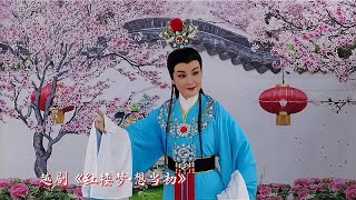 越剧《红楼梦•想当初》（徐派），优优饰贾宝玉【戏曲百家大荟萃】