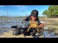 catching giant mud crab in the remote area in siargao island catch and cook