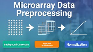 Microarray Data Preprocessing Explained | Background Correction, Aggregation & Normalization