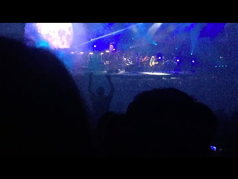 This Guy REALLY Loves ELO This Guy REALLY Loves ELO