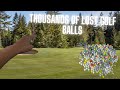 Finding Thousands of Lost Golf Balls In The Woods