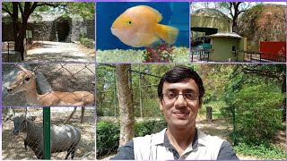 Kanpur Zoological Park | Kanpur Chidiyaghar | Part 2 | Kanpur | Created by RISHABH OMER I