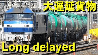 Significantly delayed freight trains gather at Omiya depot