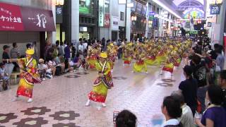 よさこい全国大会(2015/8/12)「礼神伝SHALL稲毛」