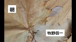 朝　作：牧野信一