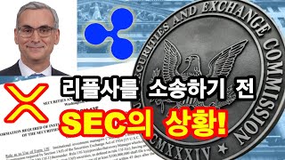 리플사를 소송하기 전 SEC의 상황!(리플사 자문 변호사 인터뷰)