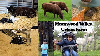 Meanwood Valley Urban Farm | Farm visit with Toddler | Leeds