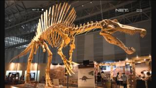 Penemuan fosil Spinosaurus - NET12