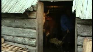 Velika planina in Kamniška Bistrica leta 1995 - RTV prispevek