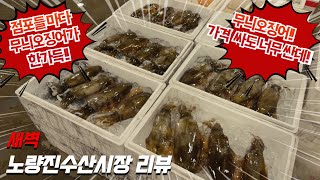 이 고급진 녀석들 !!물량 터졌다!!! 물량터지면 가격은 ~~~~새벽노량진수산시장리뷰!!