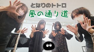 【風の通り道（となりトトロ）】宮地楽器ららぽーと立川立飛センター_講師演奏♫