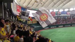 2018/3/31 巨人対阪神 試合前 くたばれ讀賣 1~9 六甲おろし