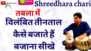 tabla/तबला में विलंबित तीनताल बजाने और भरने का तरीका सीखें/shreedhara chari