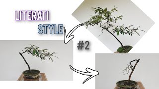 Literati bonsai, Another way to prepare the tree 🌲