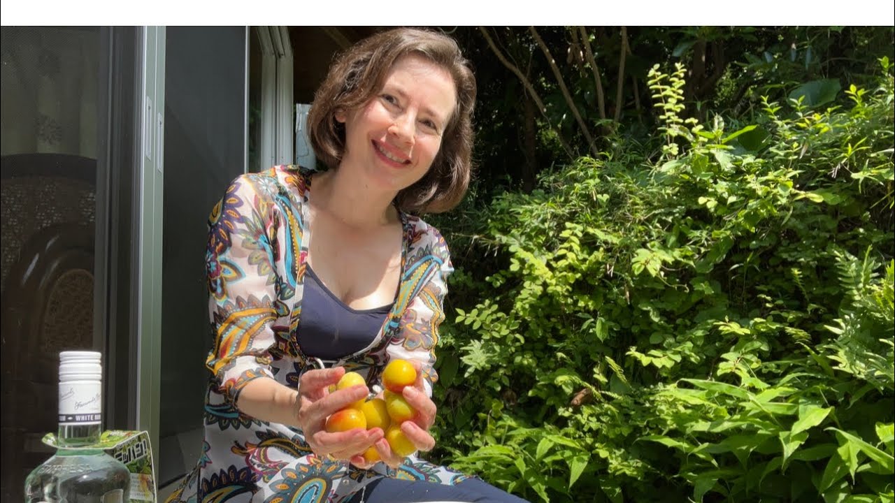 Crunchy Pickled Plums Recipe Youtube