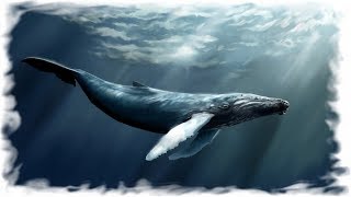 Jean Michel Jarre - Ethnicolor (песня китов, whale song)