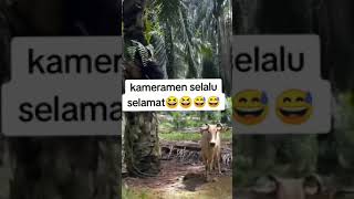 Kameraman selalu selamat