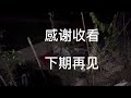 在农村买房不能公证村民间凭的都是信任？娜姐家的鸡白天去偷菜，晚上却被疯狗来偷袭