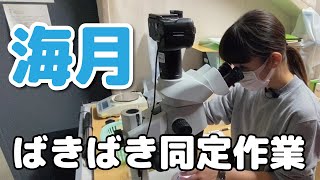 【ぱーるしーちゃんねる】【海きらら】クラゲ採集体験 後編！