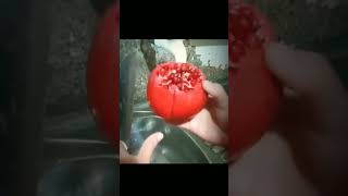 easy way to peel pomegranate # anar cheelna ka asan tareeqa # #shortsfeed #youtubeshort