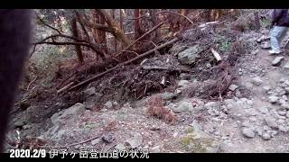 2020.2/9 伊予ヶ岳登山道の状況