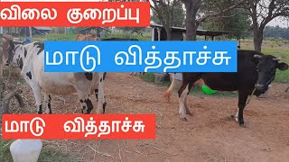 5 ஜனவரி, 2023 || 5 மாடு விற்பனைக்கு விக்காம கெடக்குது || விலை குறைப்பு ||#radhakrishnanfarms