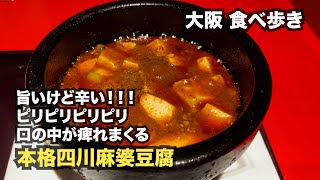 【大阪/難波】旨いけど辛い！！口の中が痺れまくる「本格四川麻婆豆腐」