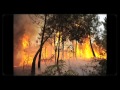 Incendios forestales, detrás del objetivo  Un documental de Pedro Armestre para Greenpeace