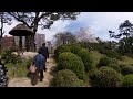 ⛩️広島🍁バーチャルツアー⛩️春の縮景園 ✨360°vr✨