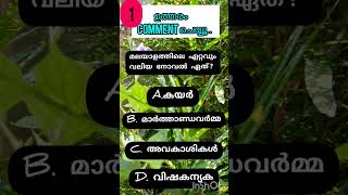 മലയാളത്തിലെ ഏറ്റവും വലിയ നോവൽ ഏത്? | Gk #Shorts#Youtube#New#India#Keralapsc#Pscmodelquestions#GkQuiz